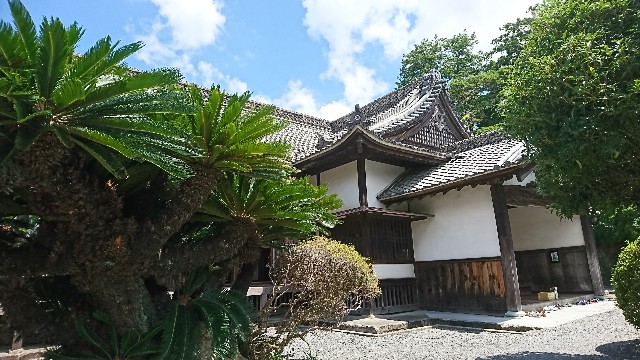 f:id:hihansuruhito:20180722095410j:image f:id:hihansuruhito:20180722095410j:image