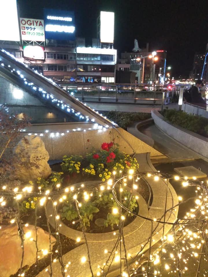 f:id:hihararara:20181214205648j:plain f:id:hihararara:20181214205648j:plain