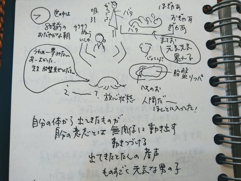 f:id:hihararara:20190104211411j:plain