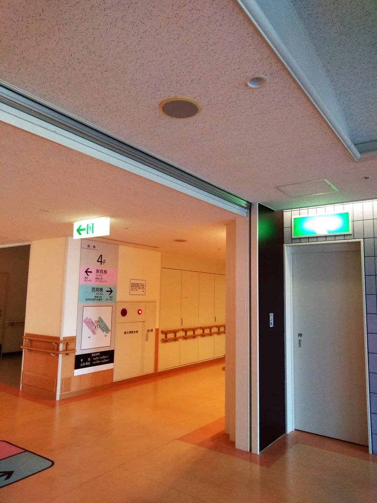 f:id:hihararara:20190104211540j:plain