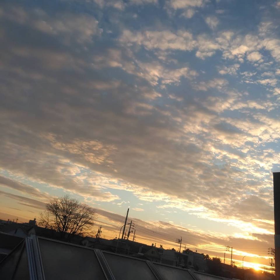 f:id:hihararara:20190110202222j:plain