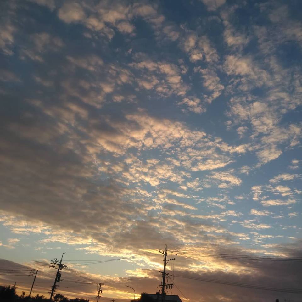 f:id:hihararara:20190110202230j:plain