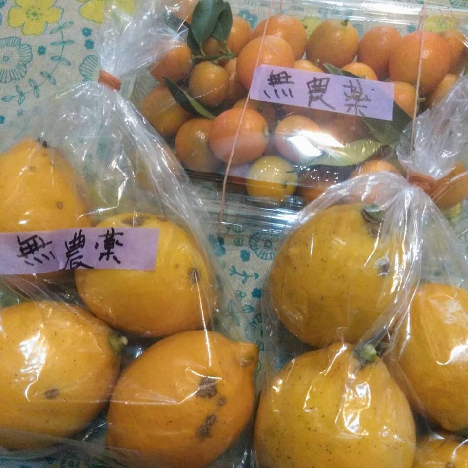 f:id:hihararara:20190110202248j:plain