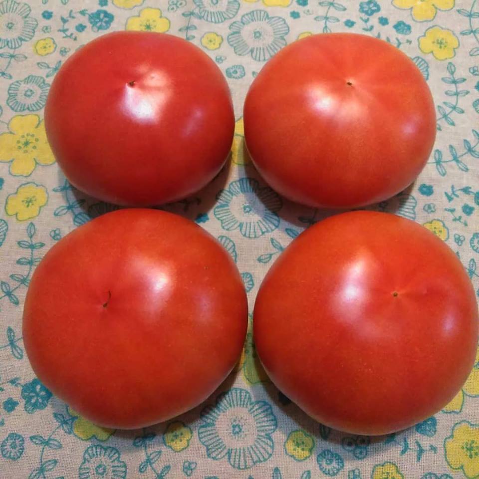 f:id:hihararara:20190117124013j:plain f:id:hihararara:20190117124013j:plain