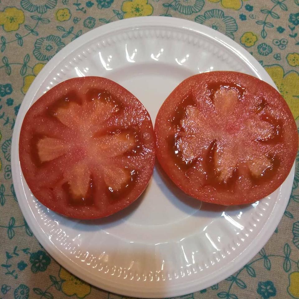 f:id:hihararara:20190117124021j:plain f:id:hihararara:20190117124021j:plain