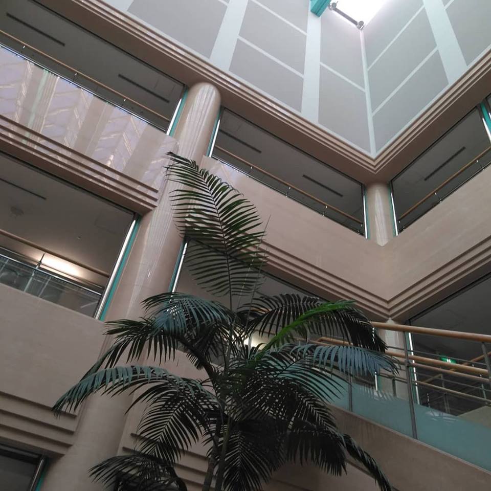 f:id:hihararara:20190123192453j:plain