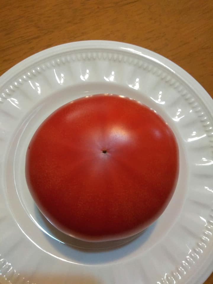 f:id:hihararara:20190123192927j:plain f:id:hihararara:20190123192927j:plain