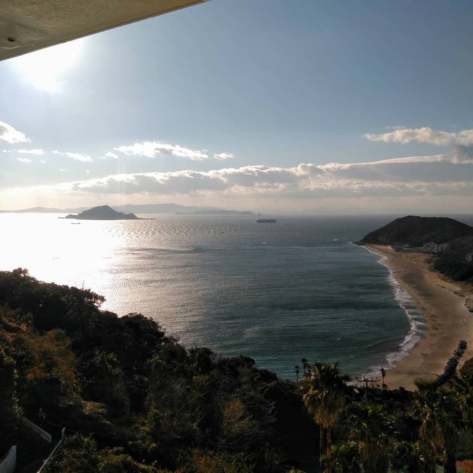 f:id:hihararara:20190123194528j:plain