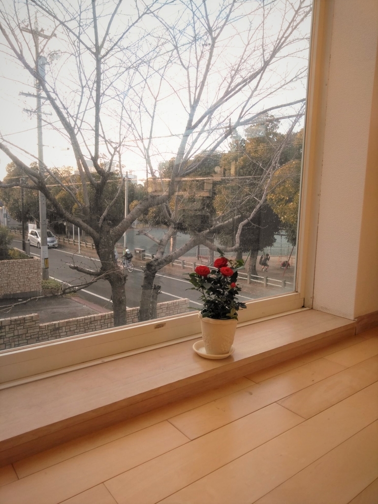 f:id:hihararara:20190128122919j:plain