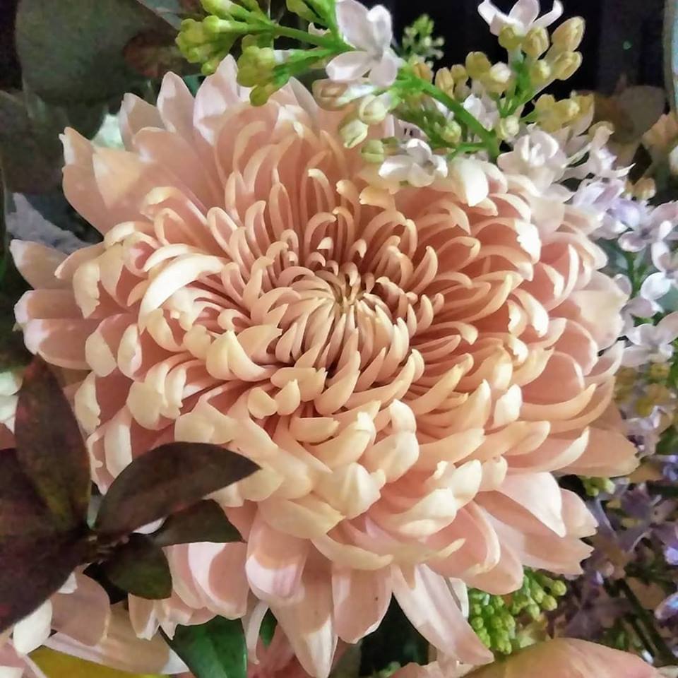 f:id:hihararara:20190207113234j:plain f:id:hihararara:20190207113234j:plain
