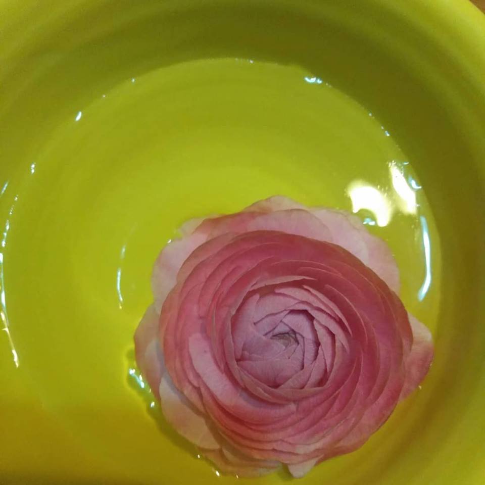 f:id:hihararara:20190207113308j:plain f:id:hihararara:20190207113308j:plain