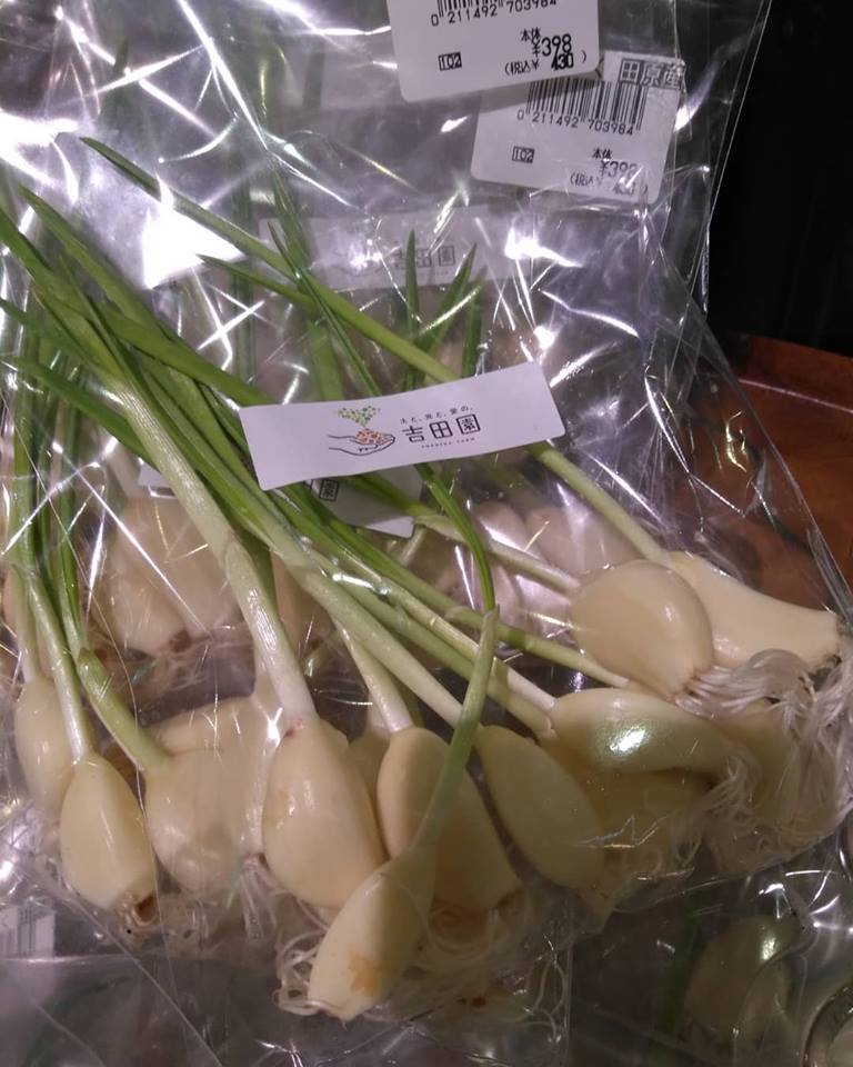 f:id:hihararara:20190402141630j:plain