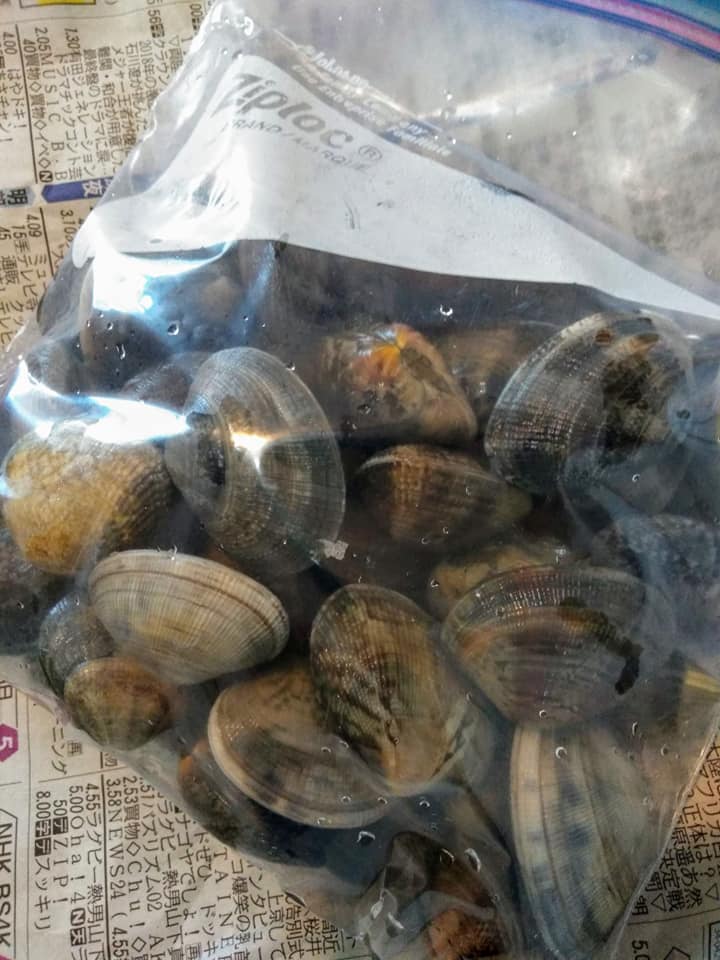 f:id:hihararara:20190505222654j:plain