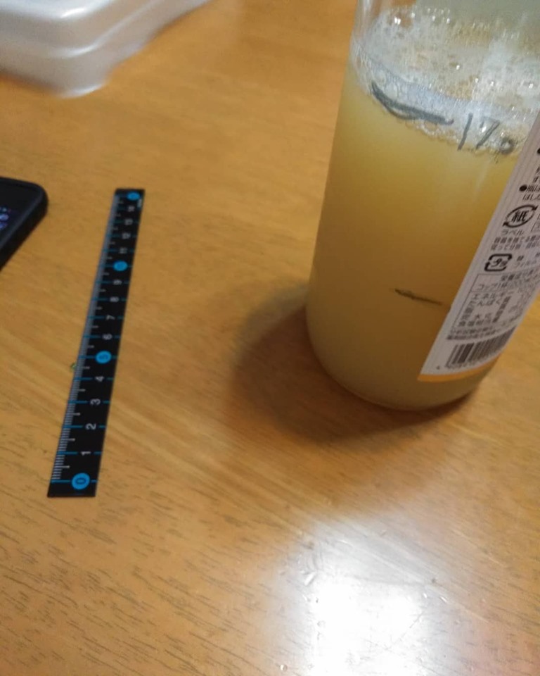 f:id:hihararara:20190716122713j:plain f:id:hihararara:20190716122713j:plain