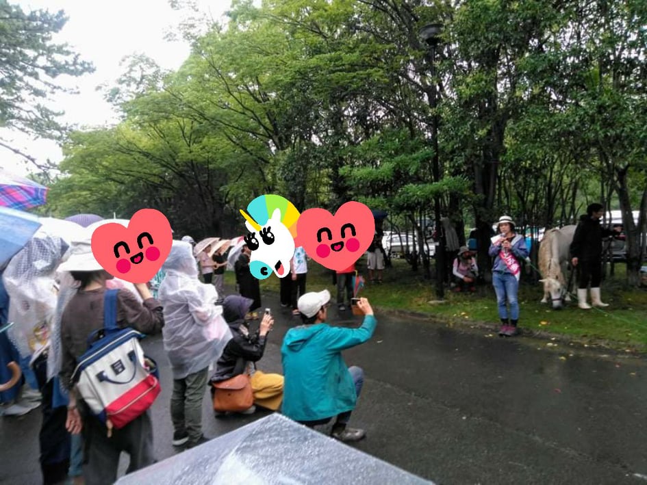 f:id:hihararara:20190716164531j:plain