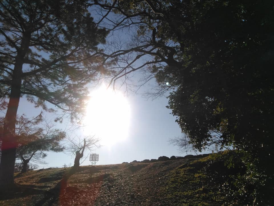 f:id:hihararara:20191229152730j:plain f:id:hihararara:20191229152730j:plain