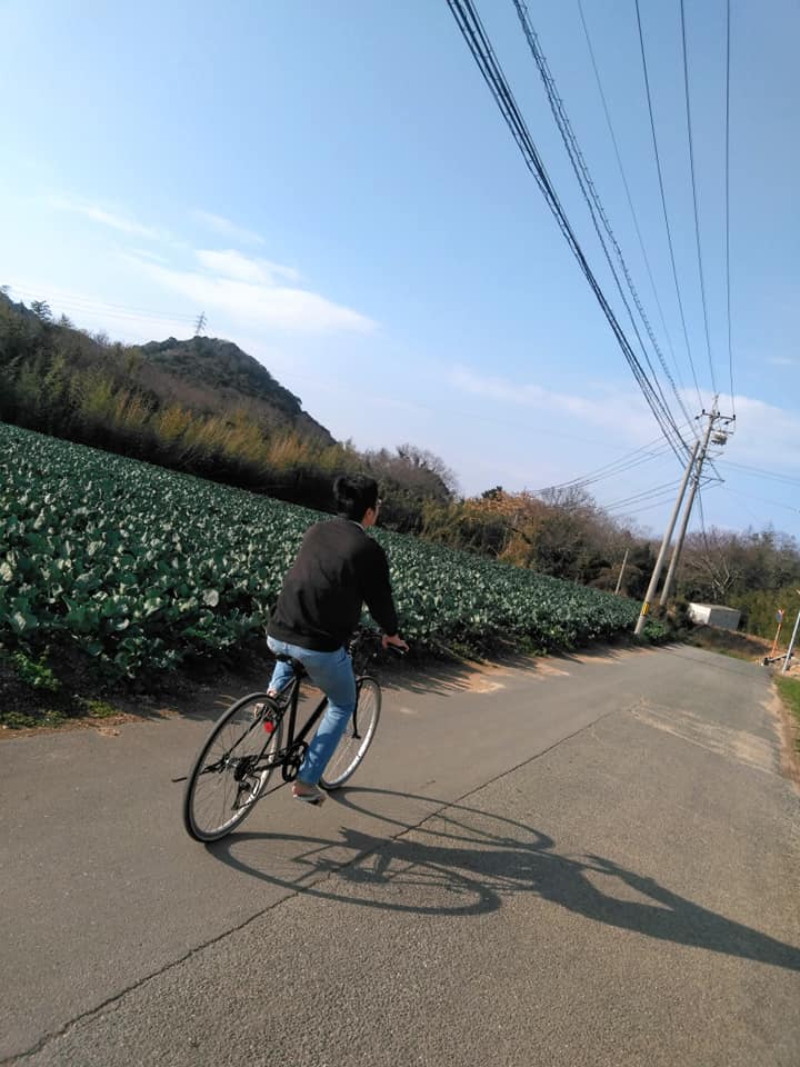 f:id:hihararara:20200104131142j:plain f:id:hihararara:20200104131142j:plain