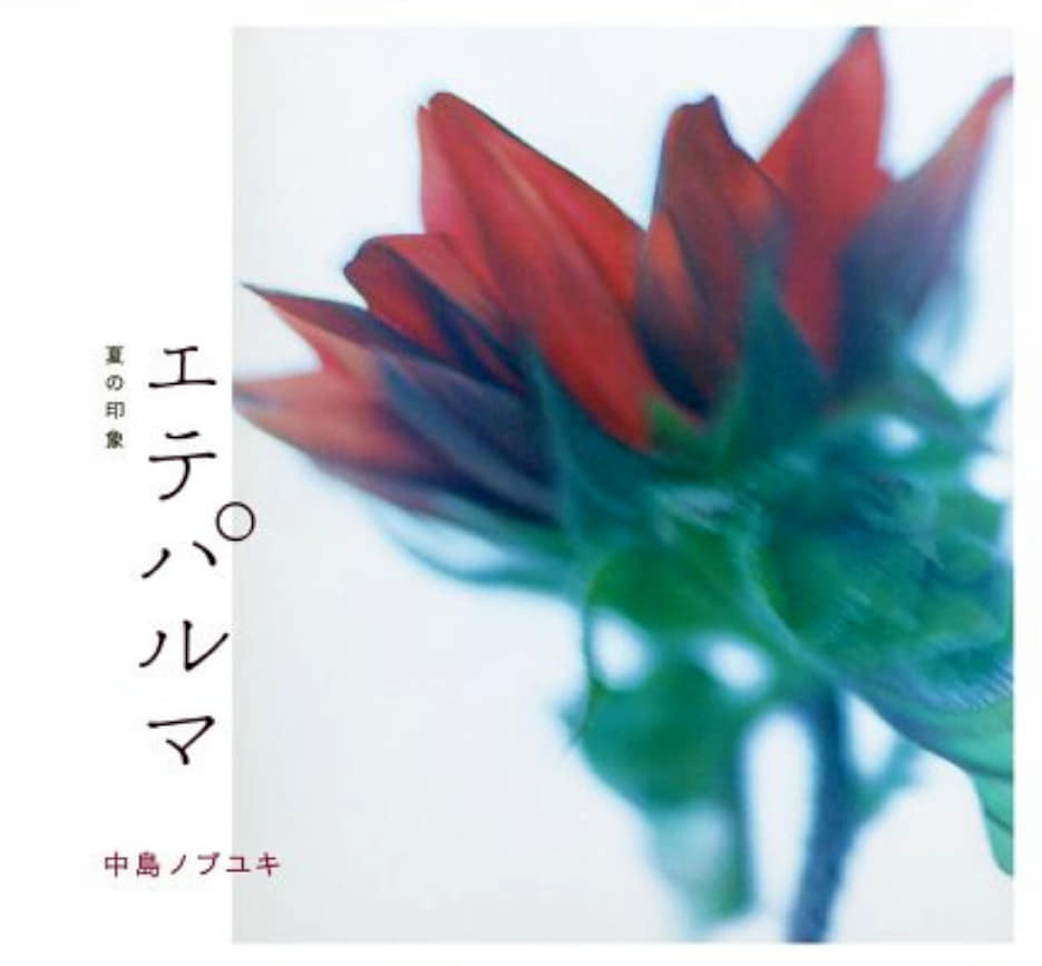 f:id:hihararara:20200528204648j:plain