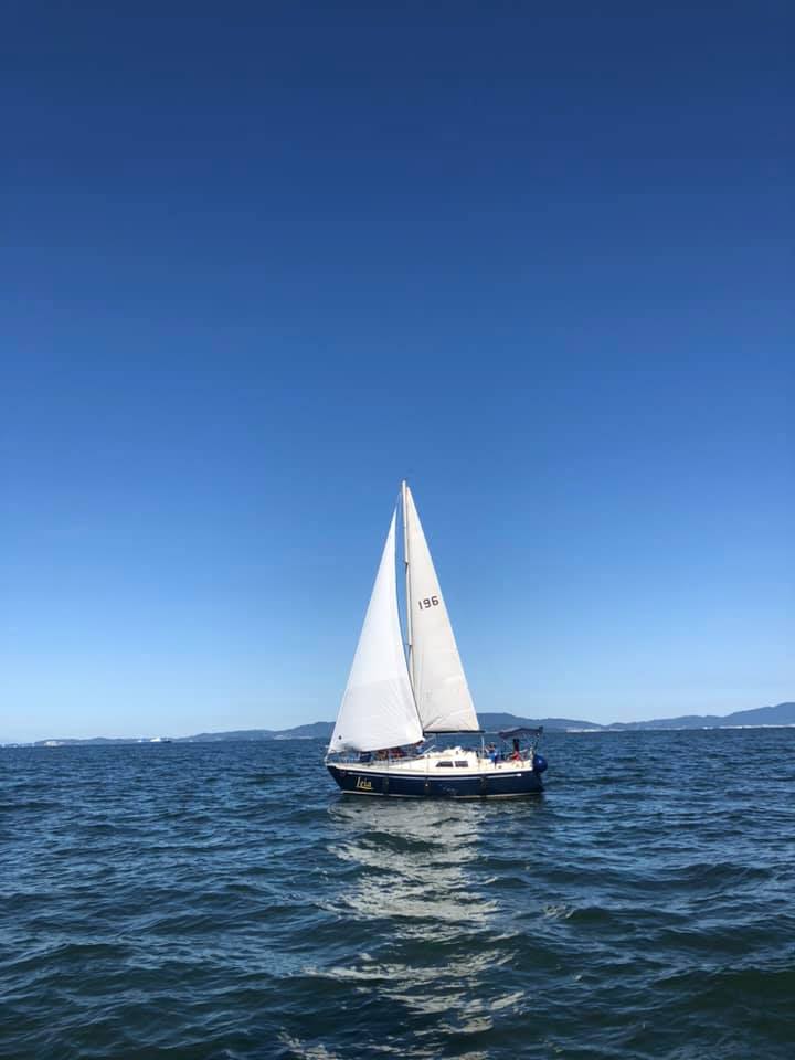 f:id:hihararara:20200929213051j:plain