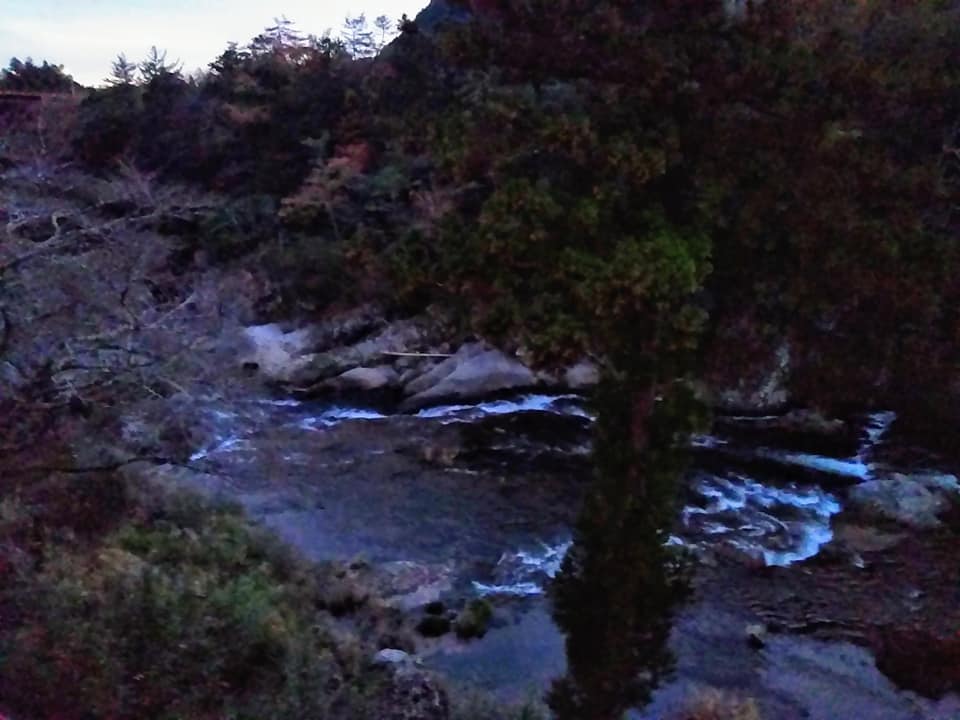 f:id:hihararara:20201222124726j:plain