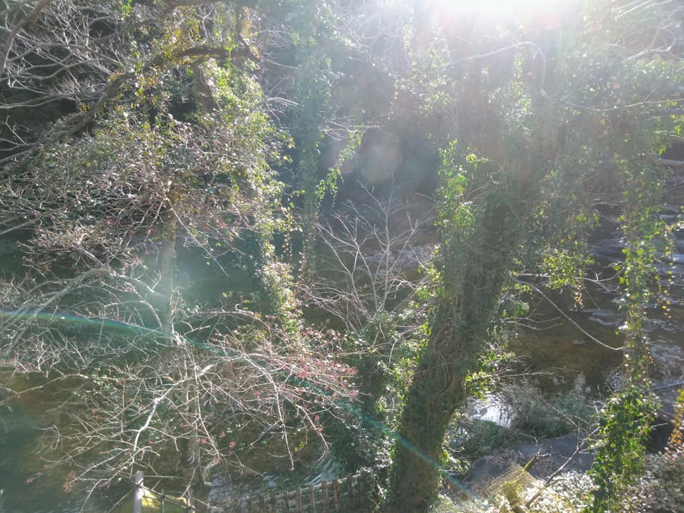 f:id:hihararara:20201225234528j:plain