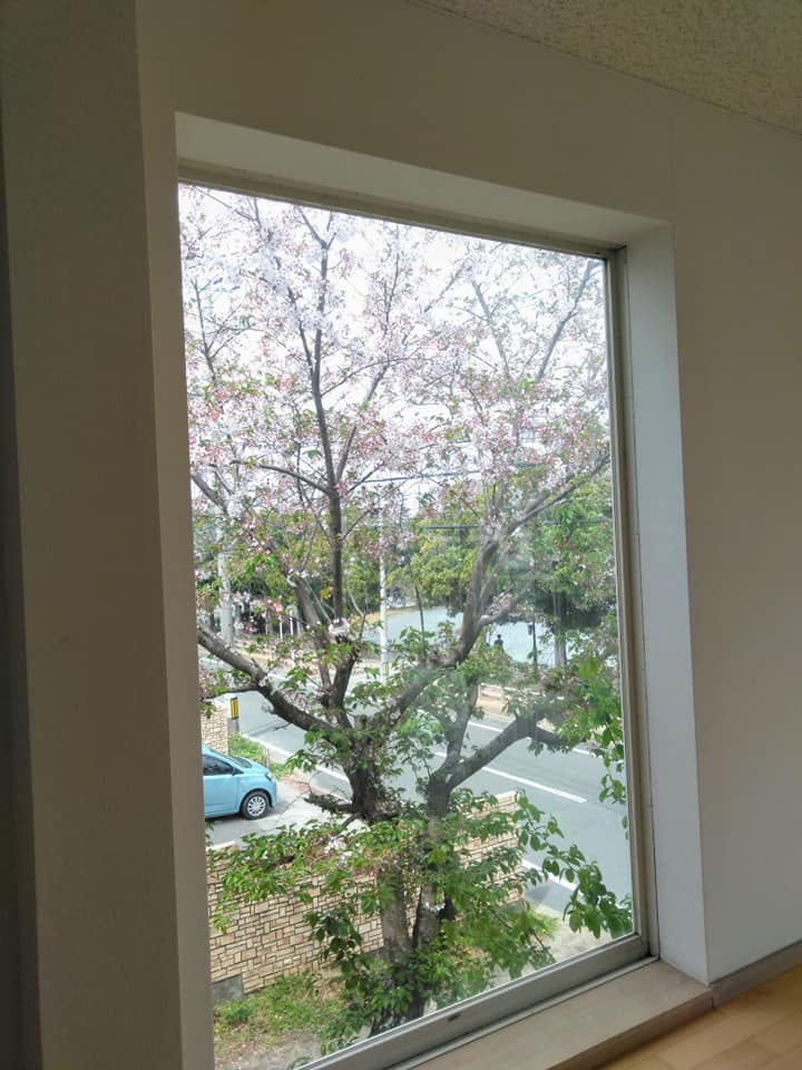 f:id:hihararara:20210403192653j:plain