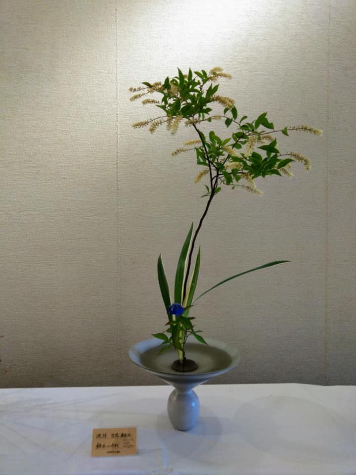 f:id:hihararara:20210526120648j:plain