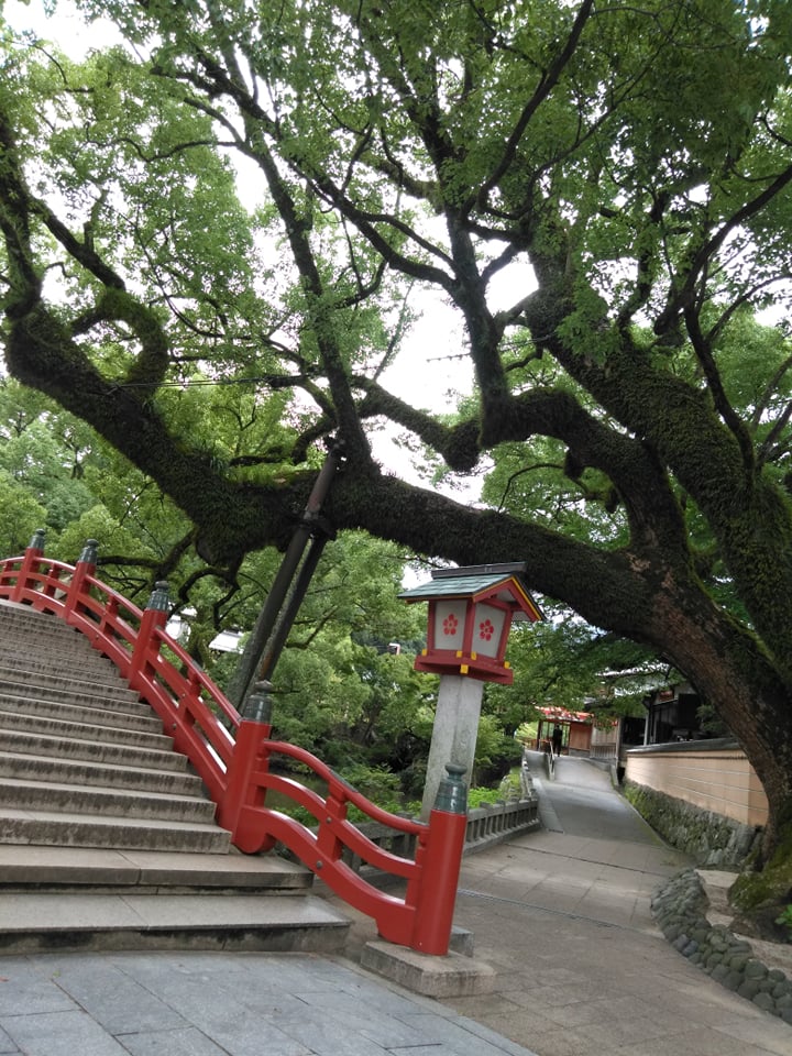 f:id:hihararara:20211231095941j:plain