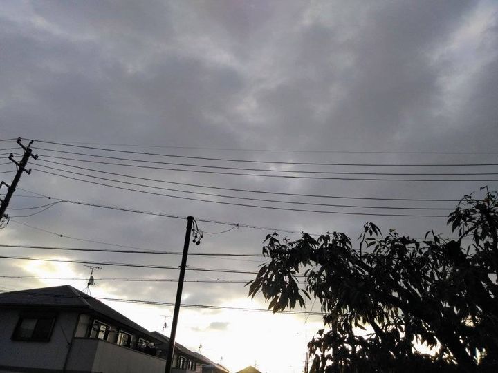 f:id:hihararara:20220105124614j:plain