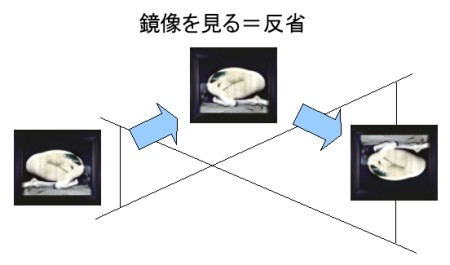 20070426162613