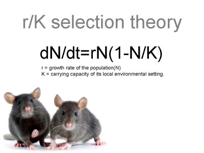 f:id:hihi01:20080415110837j:image