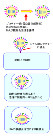 20120317183854