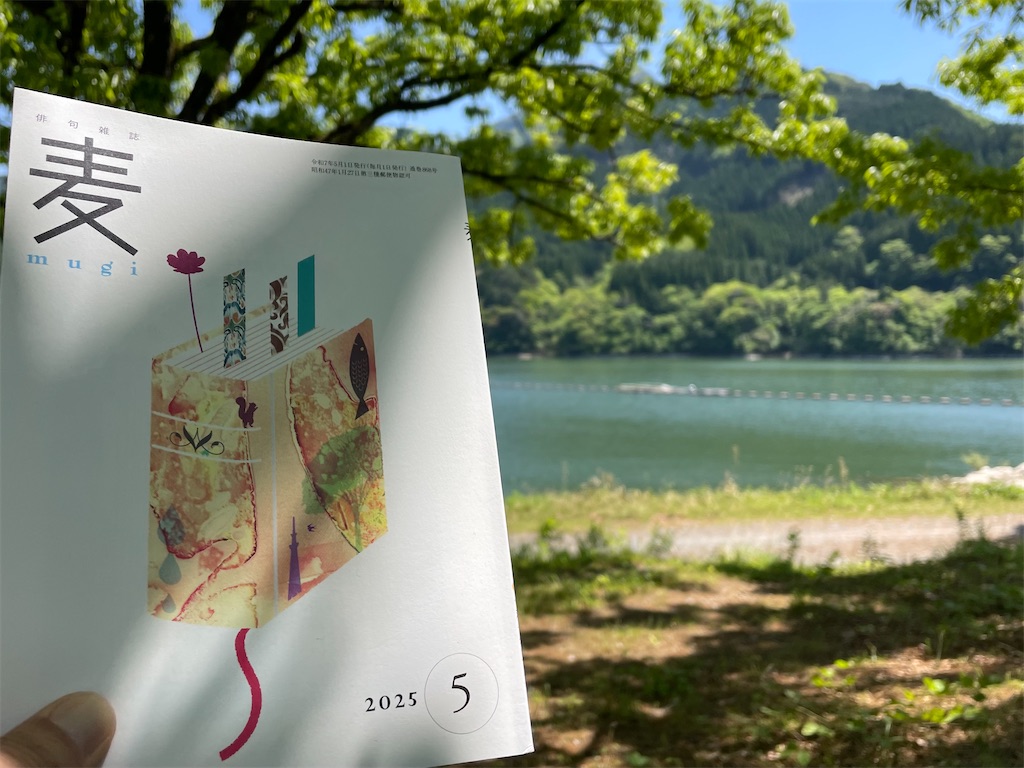 f:id:hihikuma2020:20250506104549j:image