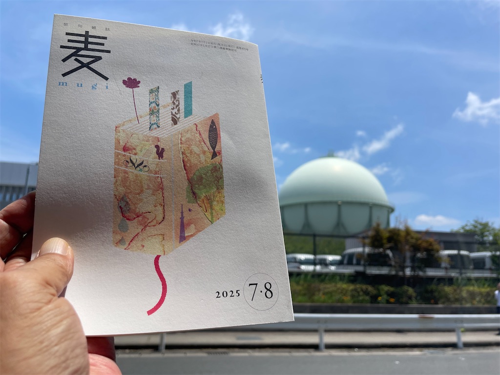f:id:hihikuma2020:20250707130107j:image