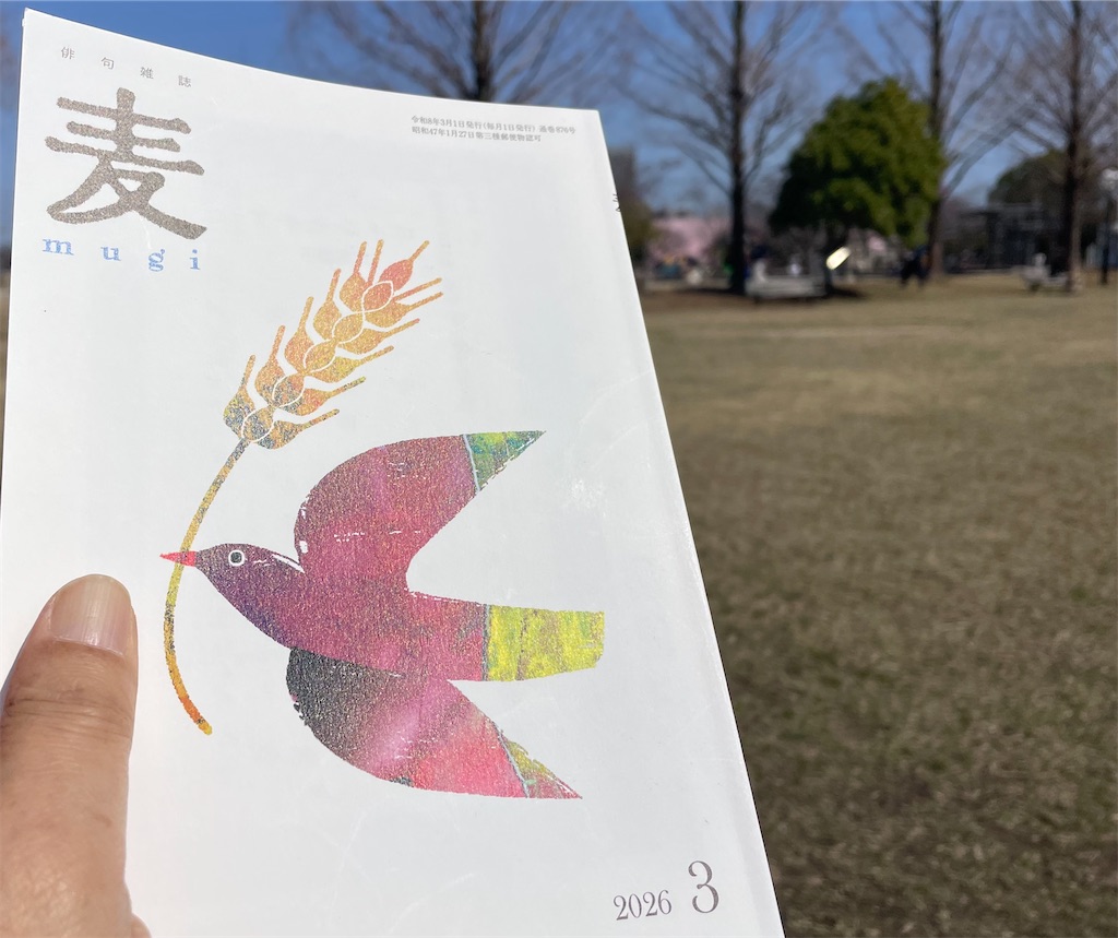 f:id:hihikuma2020:20260301141047j:image