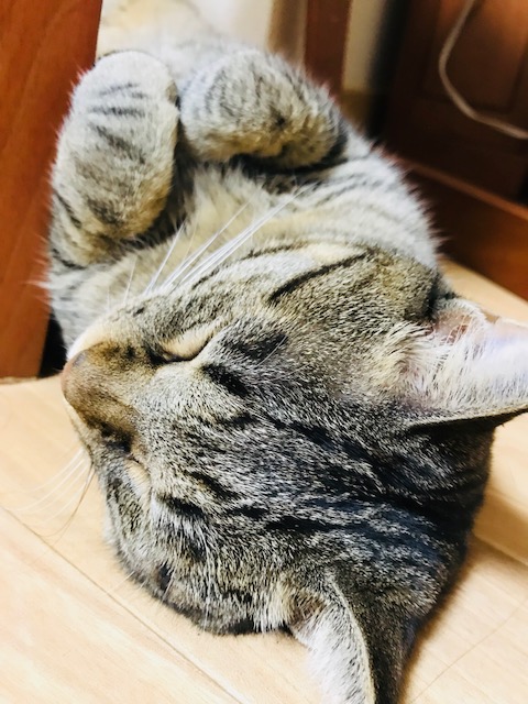 f:id:hihirika:20180820111717j:plain