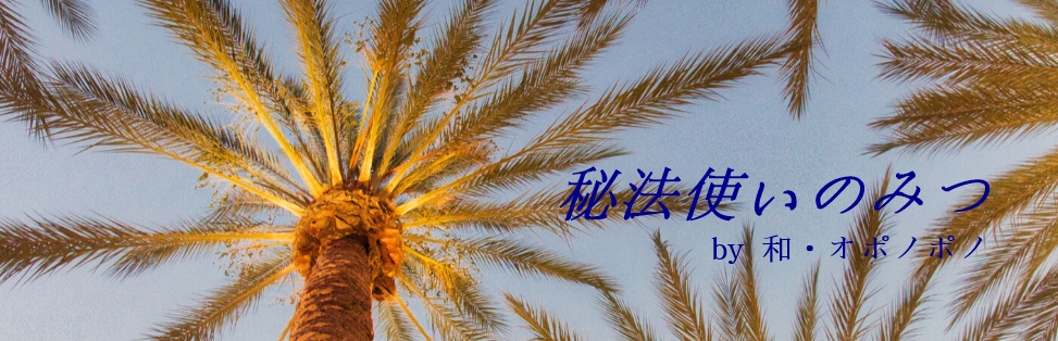 f:id:hihoutsukai:20200614150958j:plain f:id:hihoutsukai:20200614150958j:plain