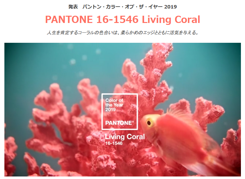 f:id:hihowru:20190212190013p:plain