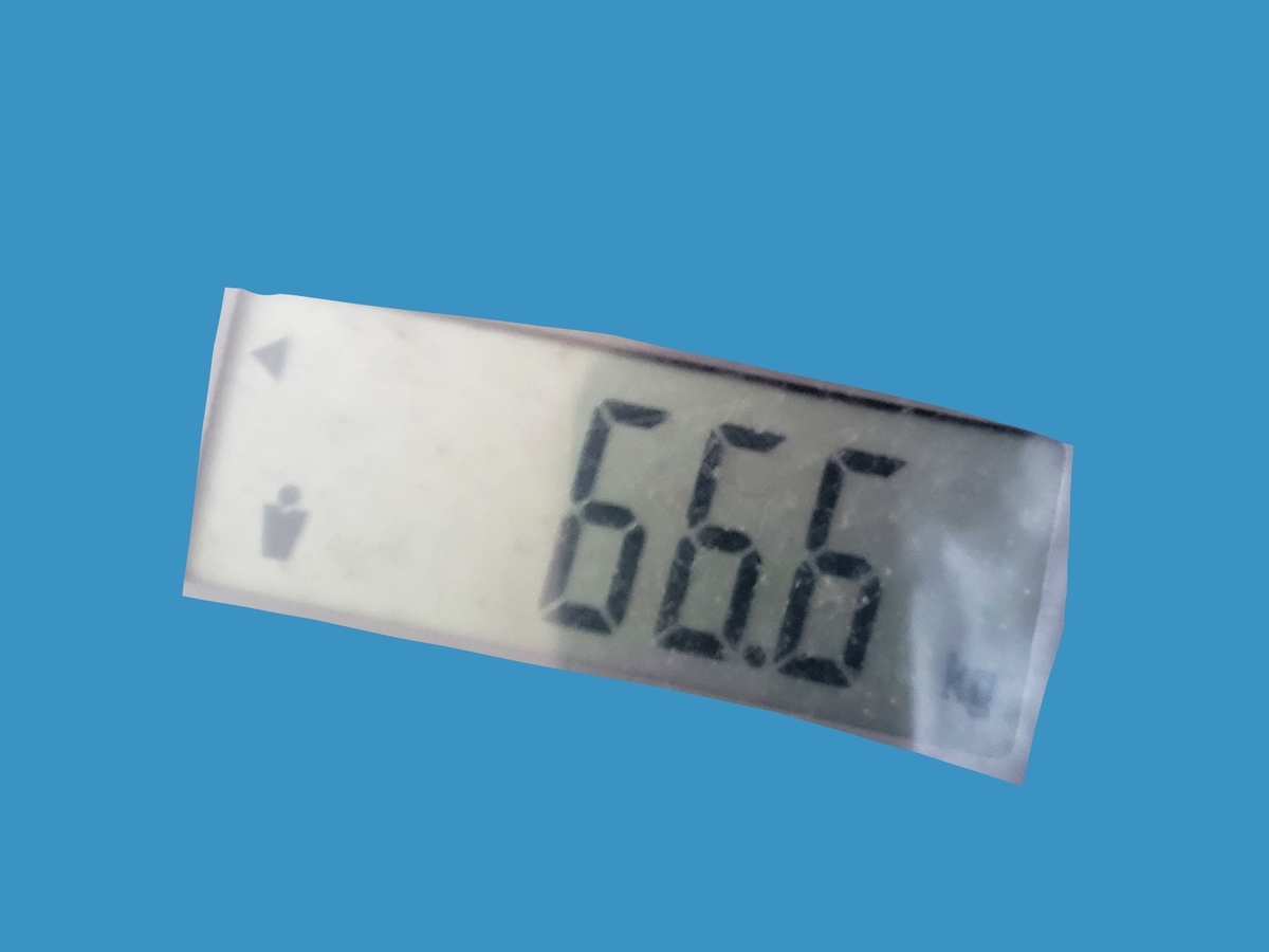 f:id:hihowru:20190407154400j:plain f:id:hihowru:20190407154400j:plain