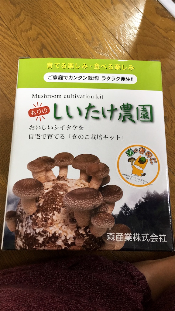 f:id:hihumimakoto01:20190325224946j:image f:id:hihumimakoto01:20190325224946j:image