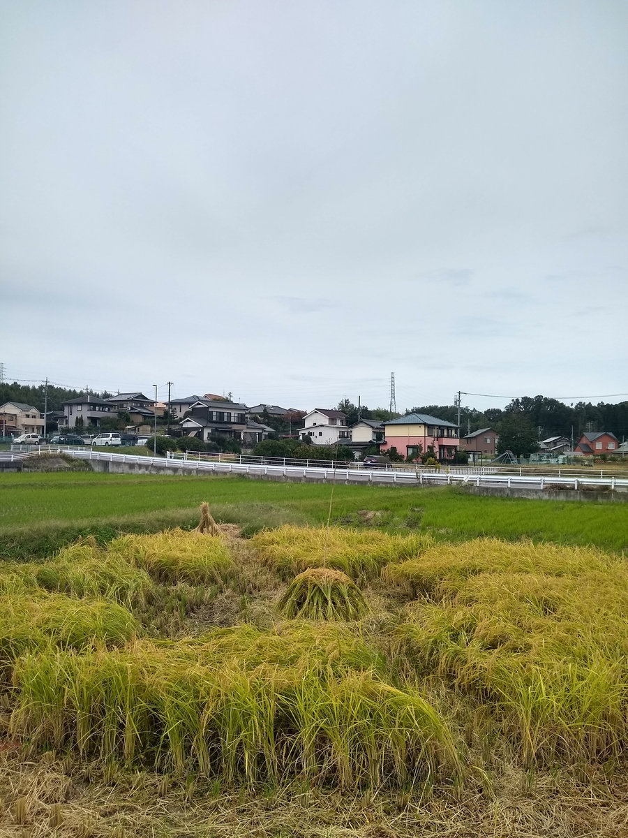 f:id:hihumiyoi:20191025131427j:plain
