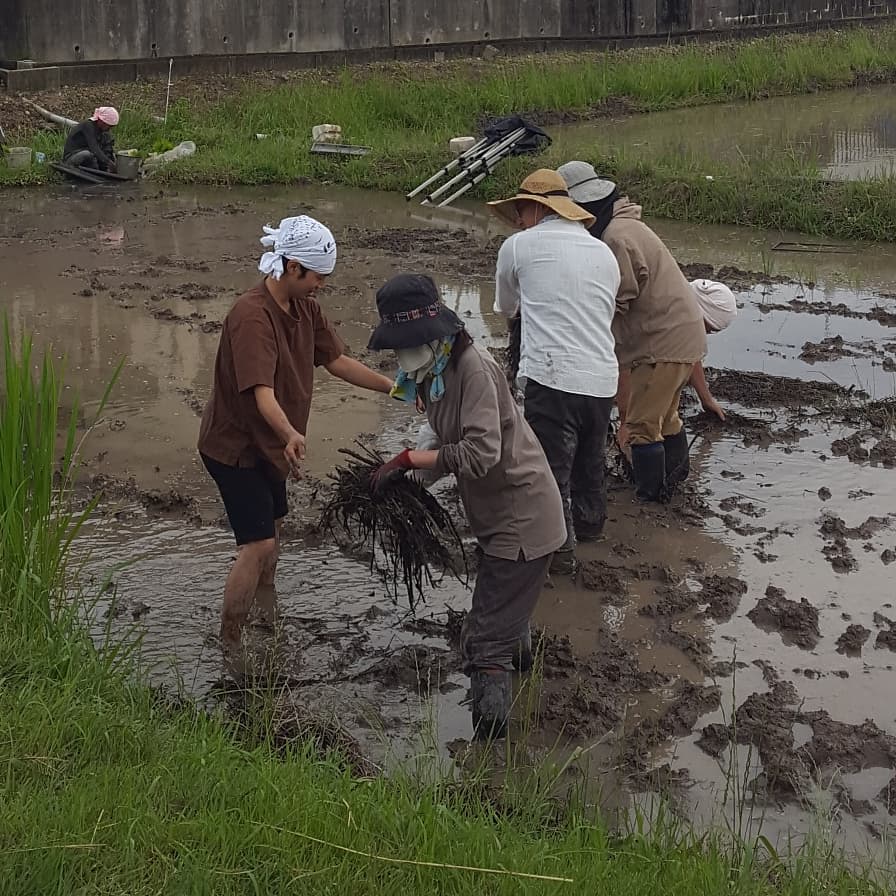 f:id:hihumiyoi:20210621060628j:plain