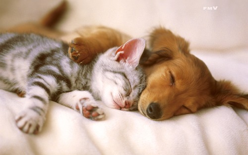 f:id:hiiragi1111:20151221141854j:plain f:id:hiiragi1111:20151221141854j:plain