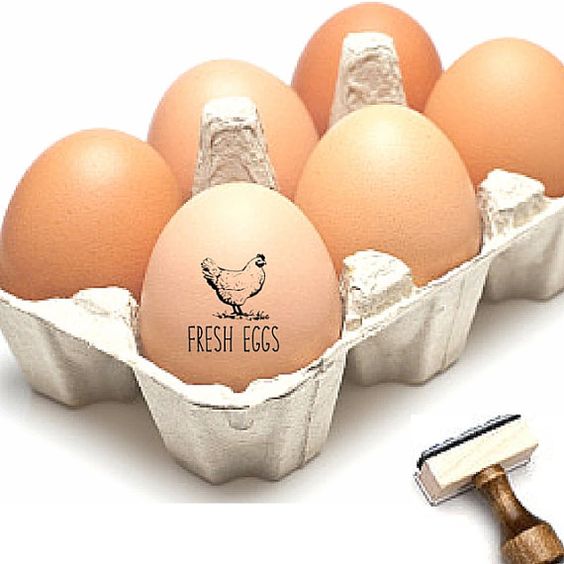 f:id:hiiragi1111:20160920230047j:plain f:id:hiiragi1111:20160920230047j:plain