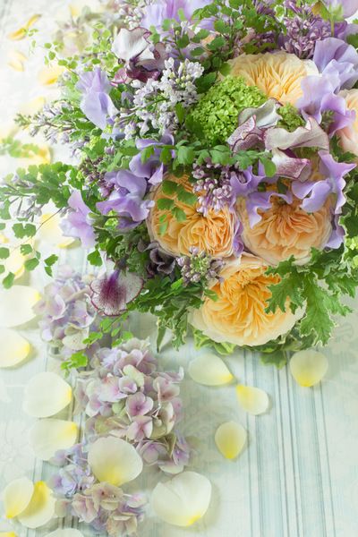 f:id:hiiragi1111:20161120111459j:plain f:id:hiiragi1111:20161120111459j:plain
