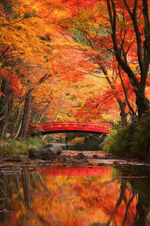 f:id:hiiragi1111:20161124150213j:plain f:id:hiiragi1111:20161124150213j:plain