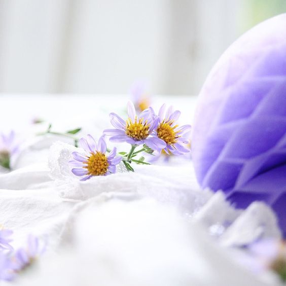 f:id:hiiragi1111:20170925150441j:plain f:id:hiiragi1111:20170925150441j:plain