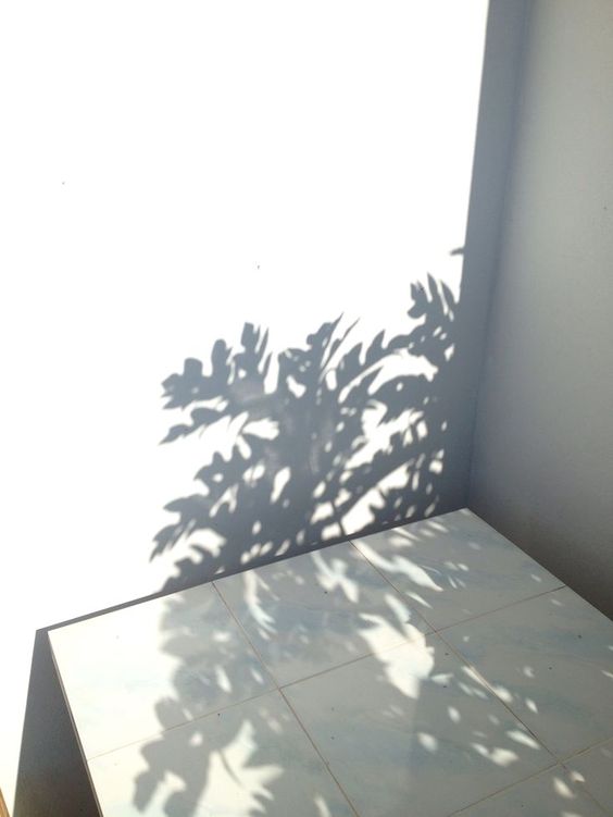 f:id:hiiragi1111:20180109144741j:plain f:id:hiiragi1111:20180109144741j:plain