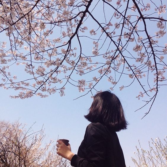 f:id:hiiragi1111:20180110031818j:plain f:id:hiiragi1111:20180110031818j:plain