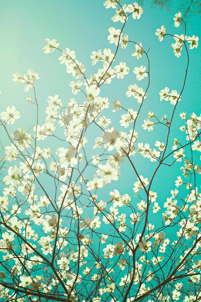 f:id:hiiragi1111:20181004105003j:plain f:id:hiiragi1111:20181004105003j:plain